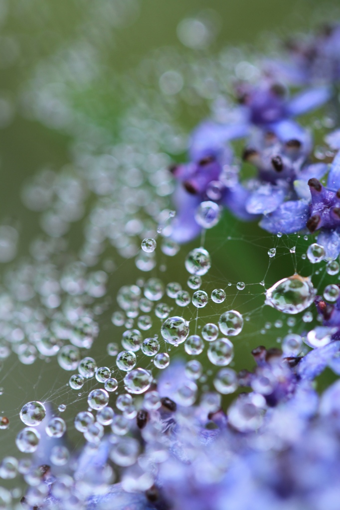 raindrop jewelry その３