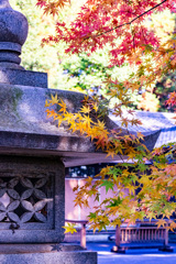 産土神社の紅葉