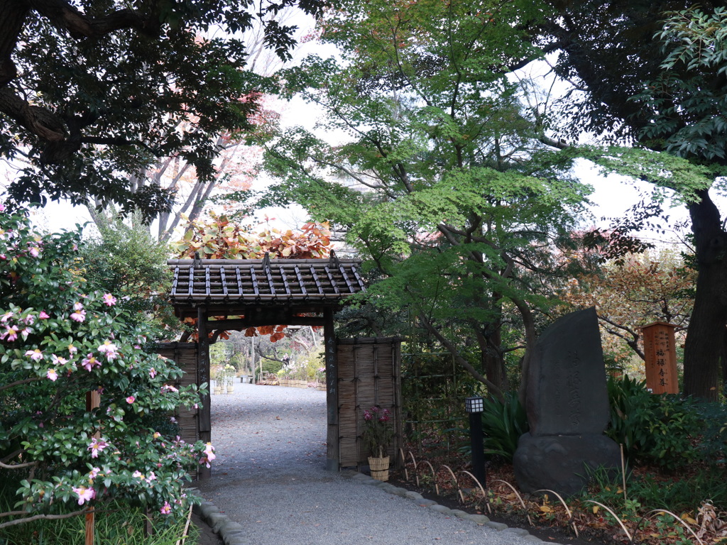 向島百花園　その２