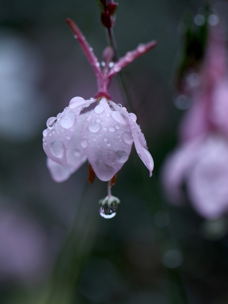 雨の合間に　その１