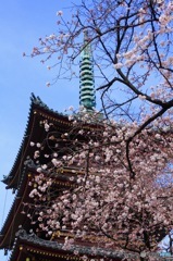 空に競う