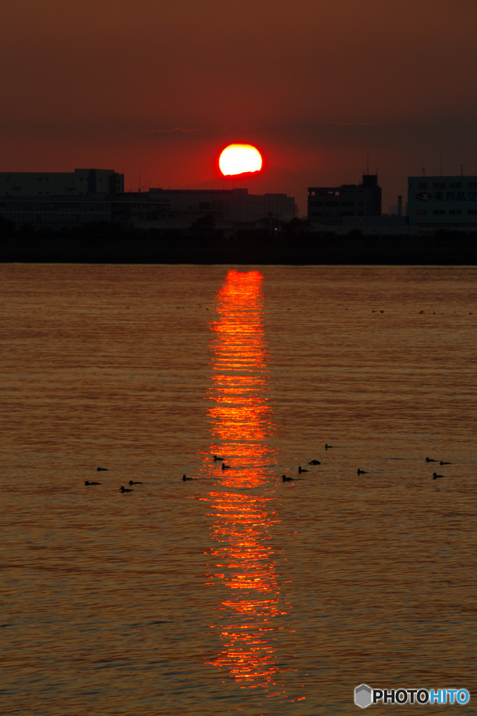 夕陽に遊ぶ