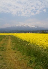 鳥海山麓その１