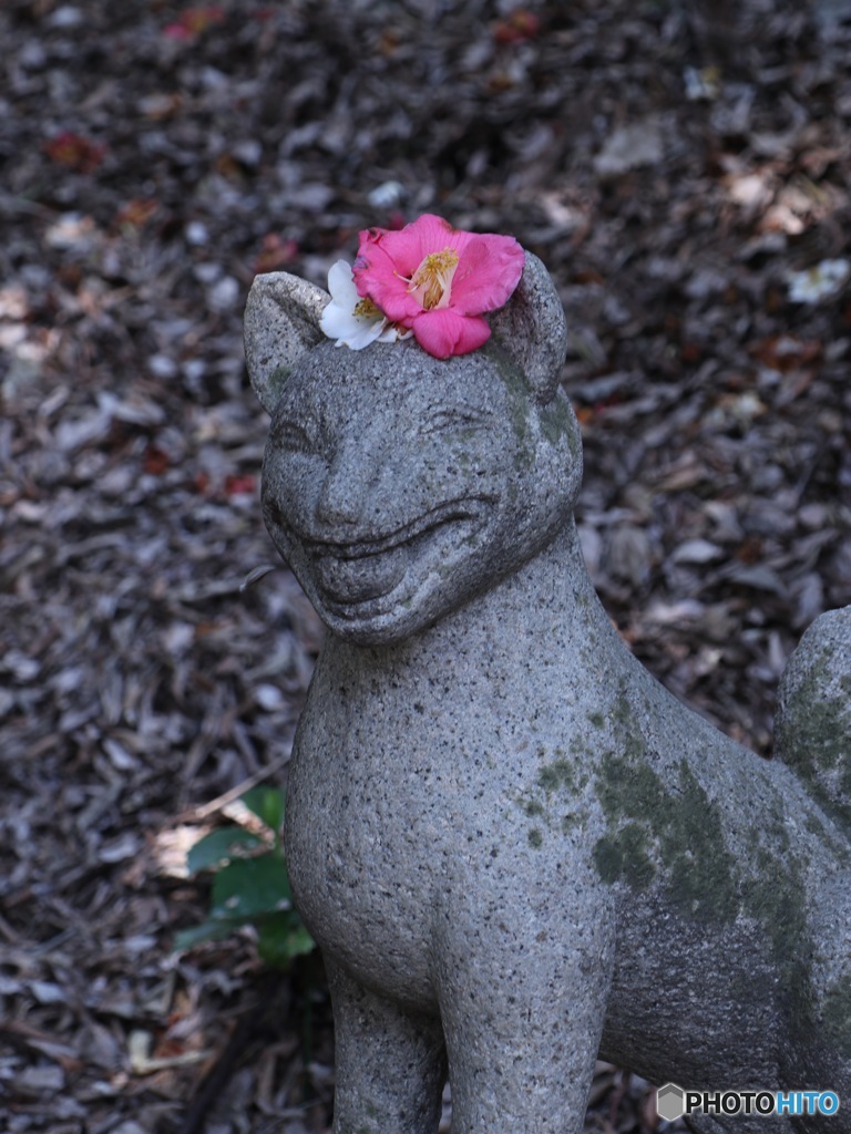 小石川植物園太郎稲荷