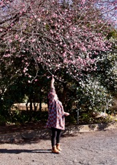 初梅撮り　その１