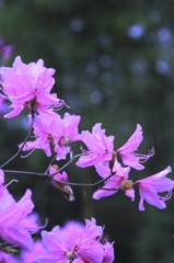 慎ましく　その１
