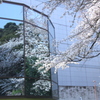 平成館を飾る