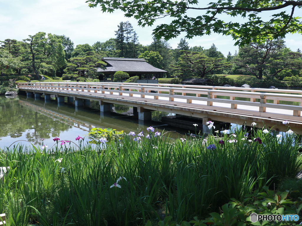 日本庭園　その１