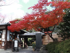 向島百花園　その１