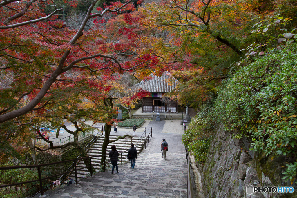 長谷寺　その２