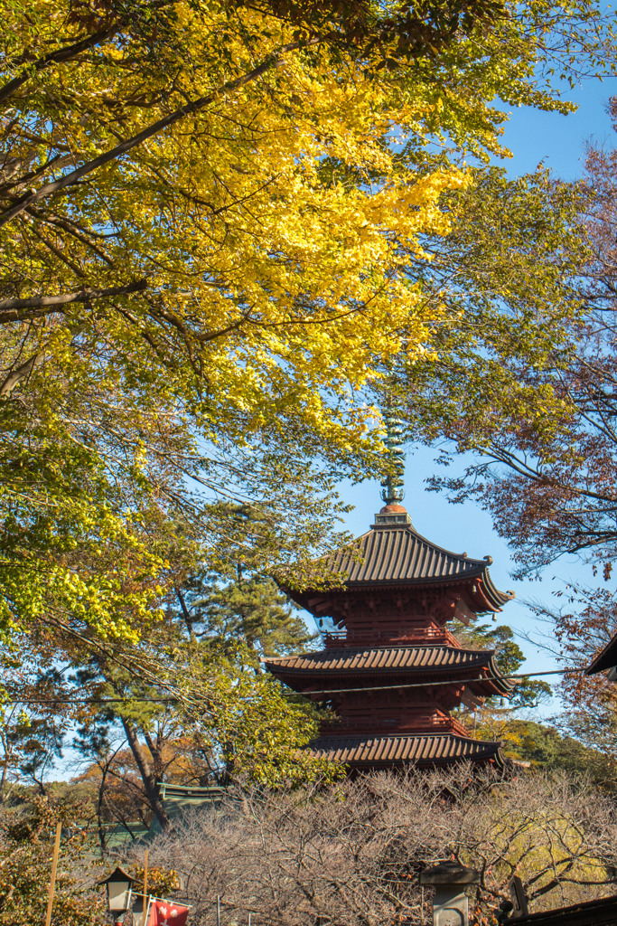 中山法華経寺五重塔