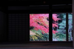南禅院秋景色　その１