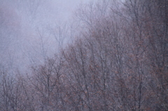 自分にとっての初雪