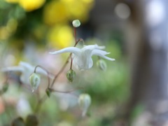 旅立ち　その１