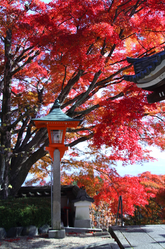 京都西山善峯寺　その４