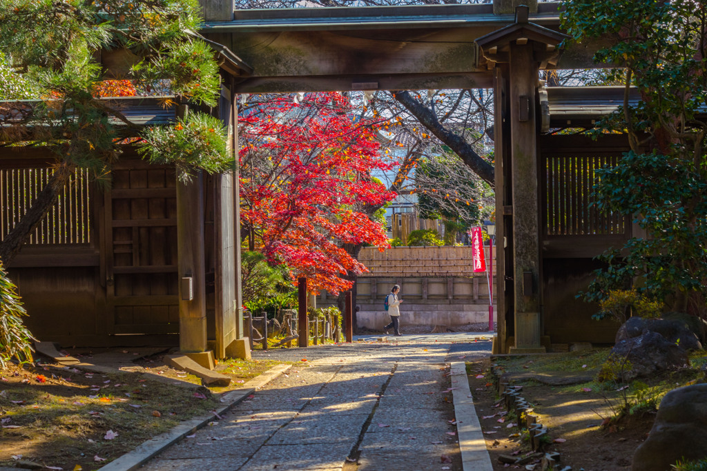 中山法華経寺塔頭にて