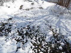 雪晴れのアート　その３