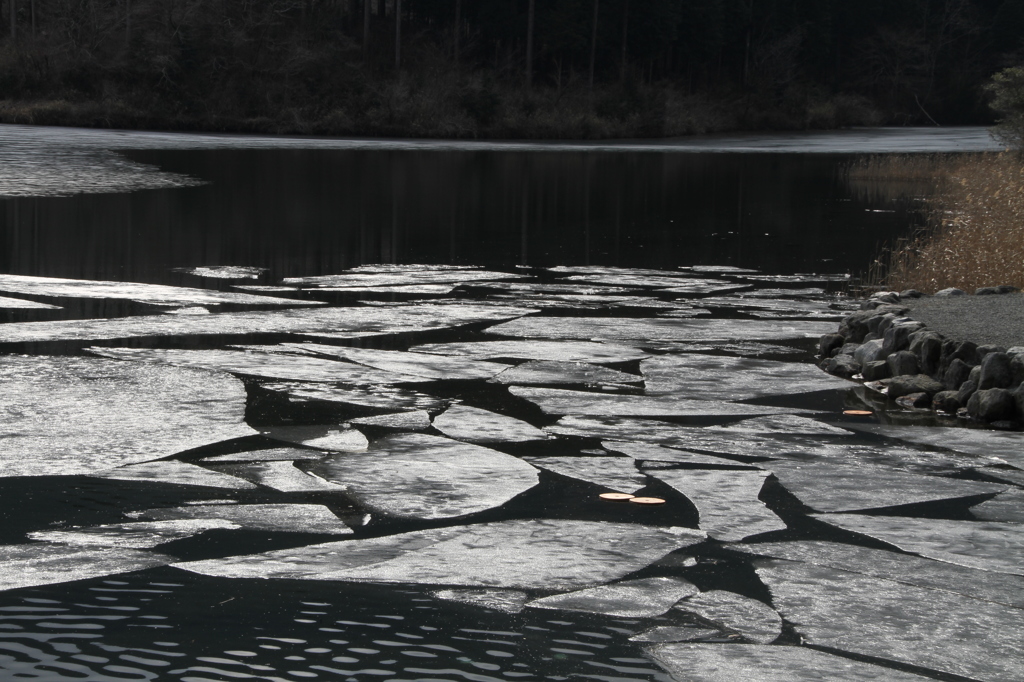 田貫湖の氷ゆるむ（２）