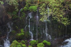 鳥海山元滝伏流水その１