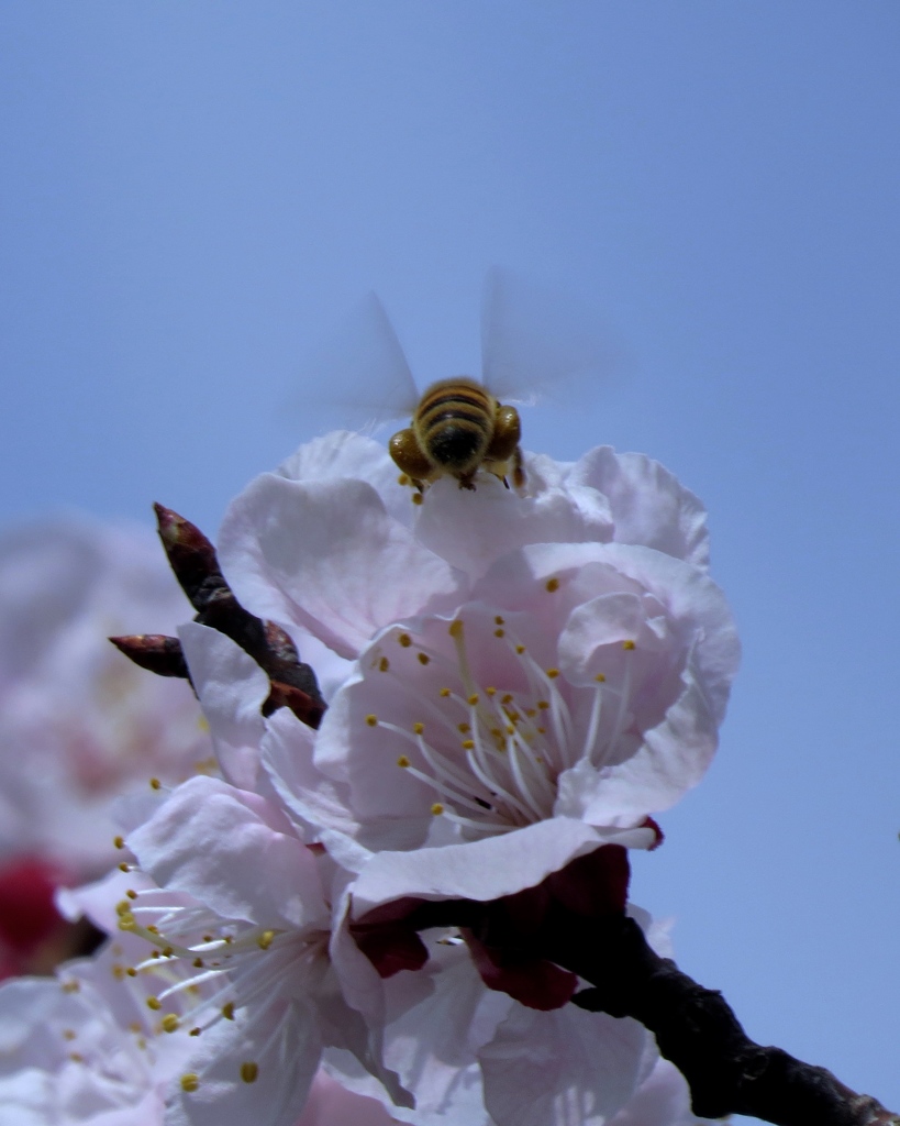 活動開始