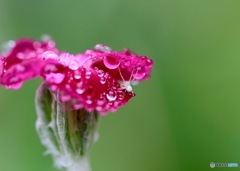 雨が止んだら