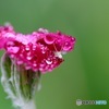 雨が止んだら