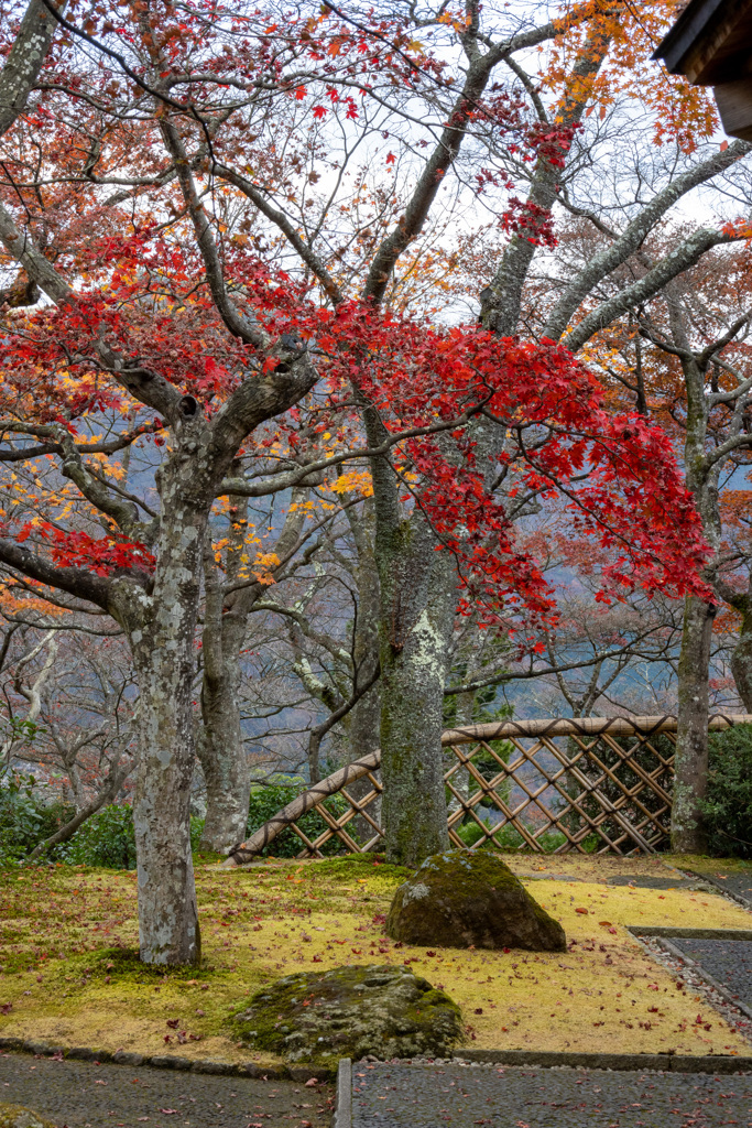 晩秋の箱根　その２