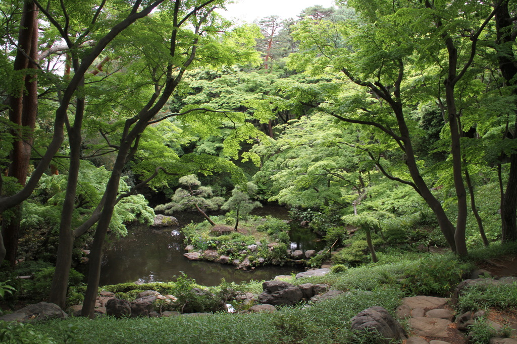 新緑に囲まれて