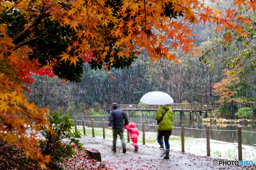 １１月の初雪　その４