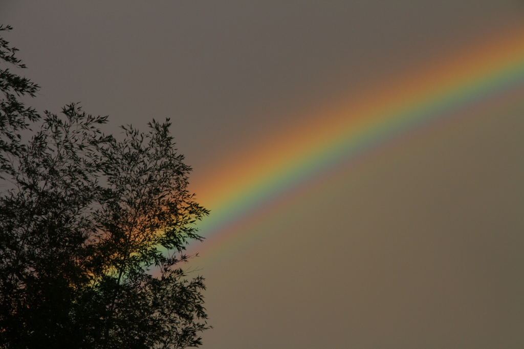 台風一過の虹　Ｎｏ．３