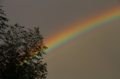 台風一過の虹　Ｎｏ．３