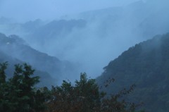 雨に煙る箱根山