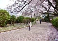 春を踏みしめ