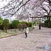 春を踏みしめ