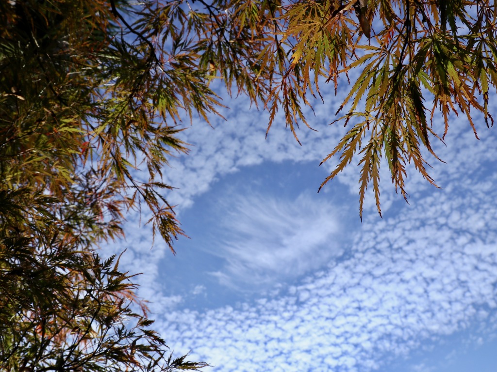 天空の湖