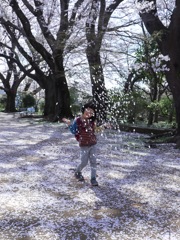 桜と遊ぶ