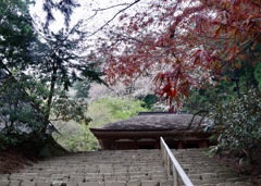 新緑の室生寺　　