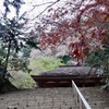 新緑の室生寺　　