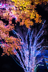 HIBIYA Magic Time illumination   No.3