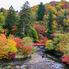 中野神社の紅葉　その１