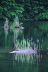 静寂
