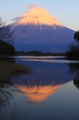 さかさかさ　その２