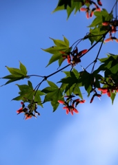 お先に！その１