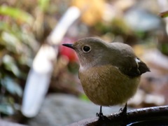 給水タイム