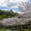 館山城公園　その２