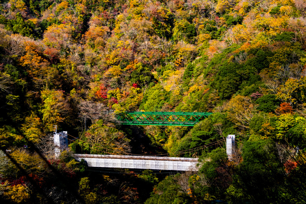 箱根登山電車のスイッチバック