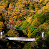 箱根登山電車のスイッチバック