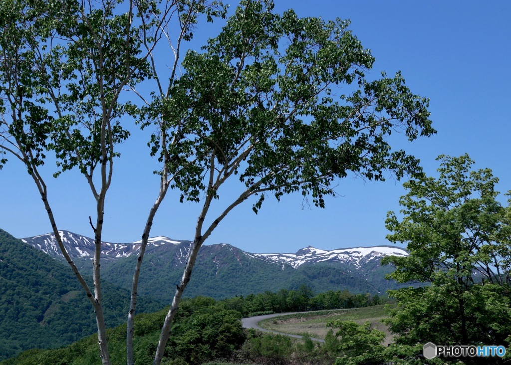 山の初夏　その１