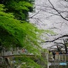 早くも