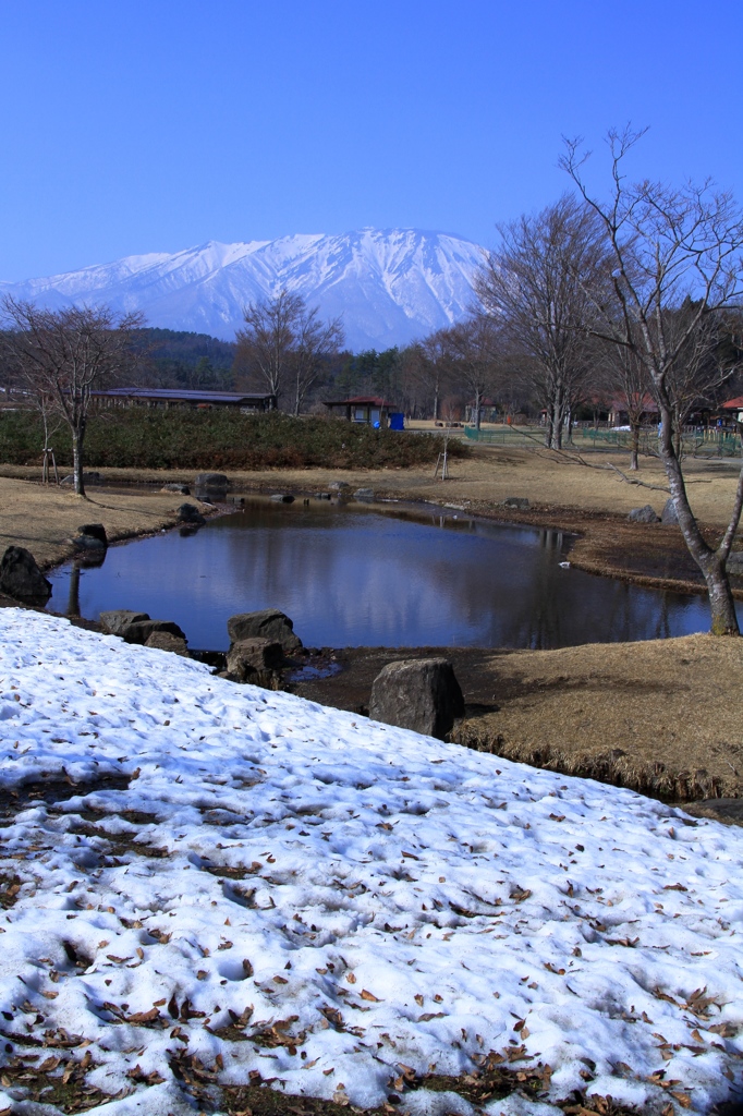 春近し